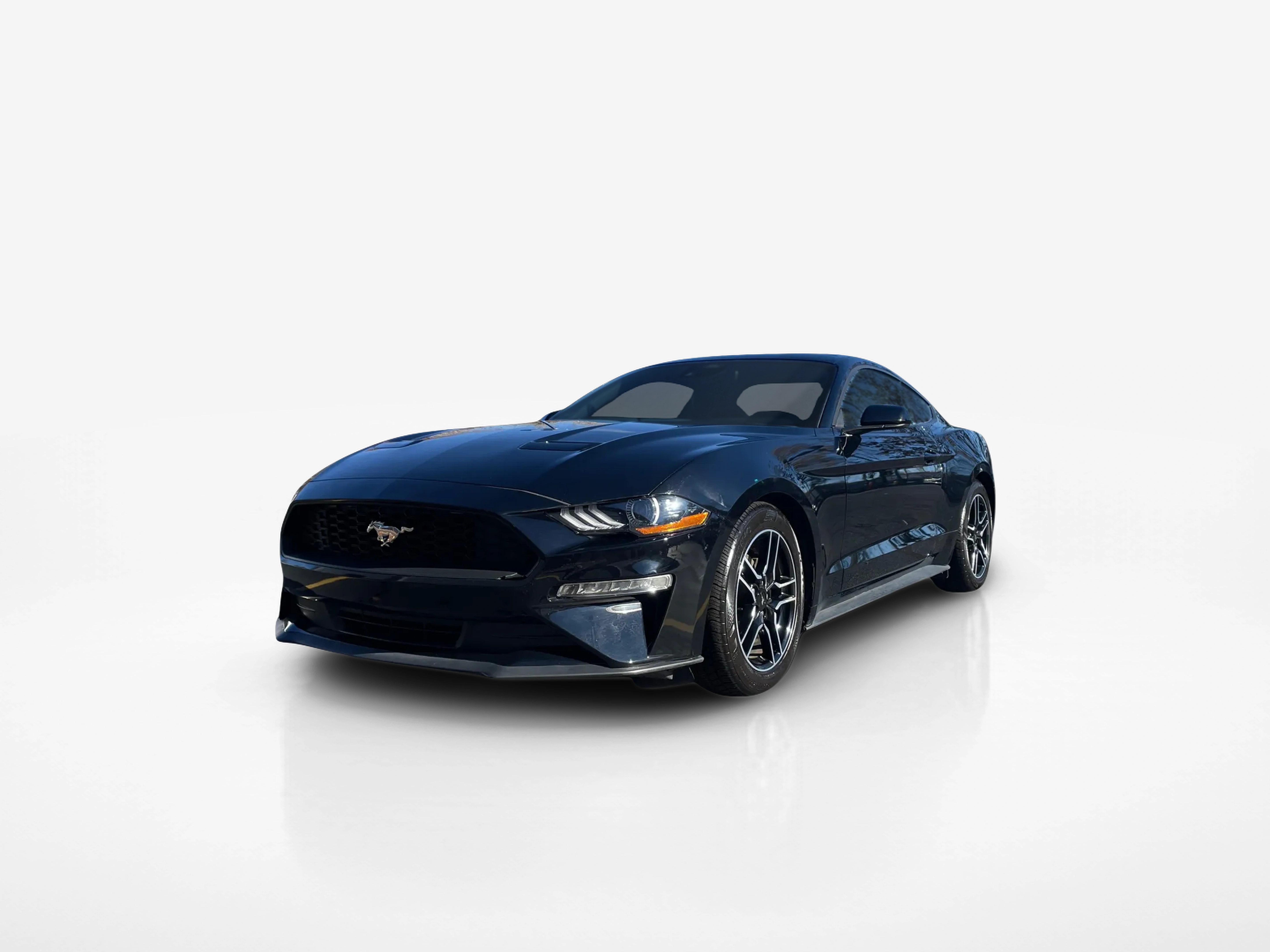 Vehicle exterior front