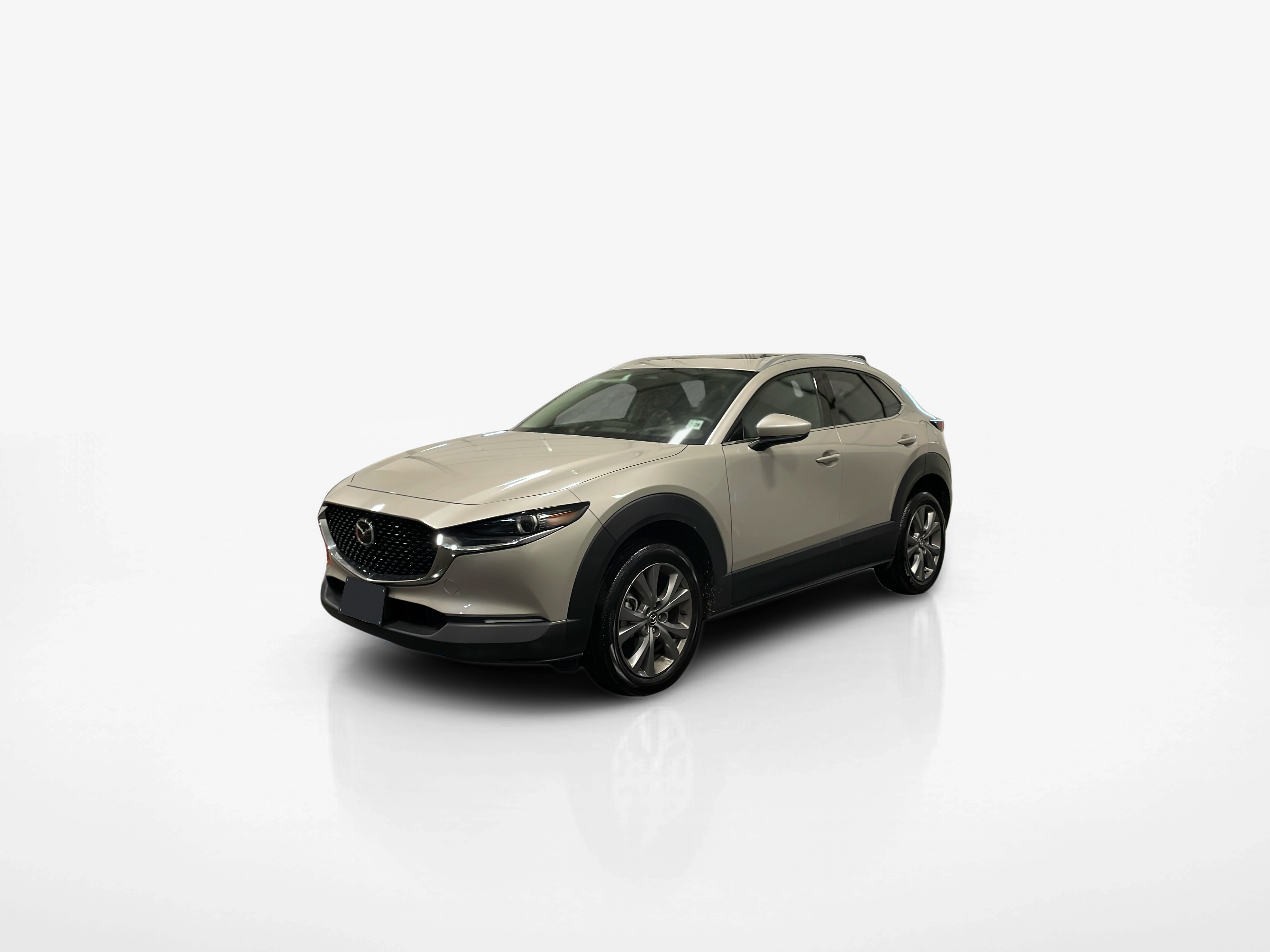 Vehicle exterior front