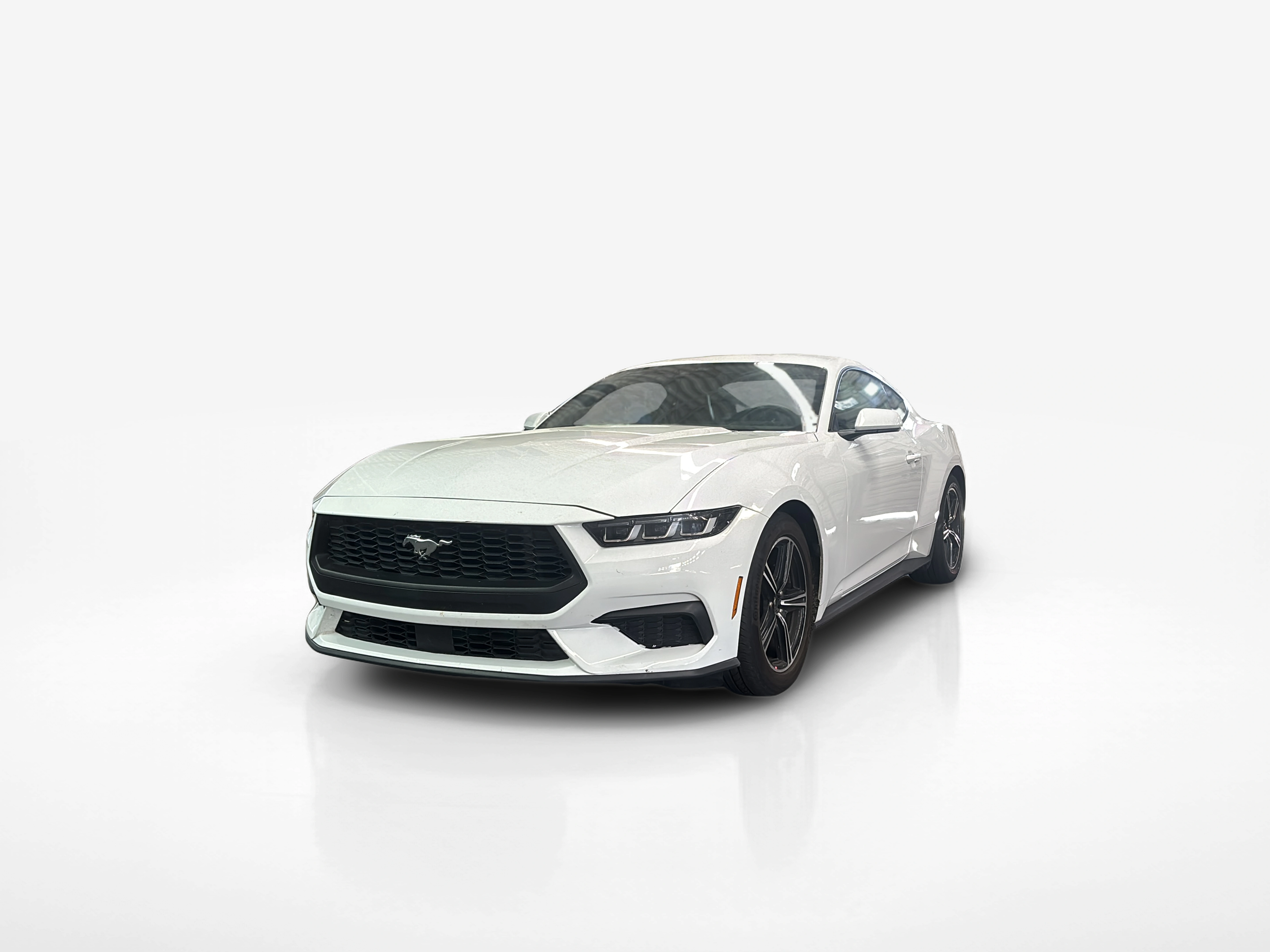 Vehicle exterior front