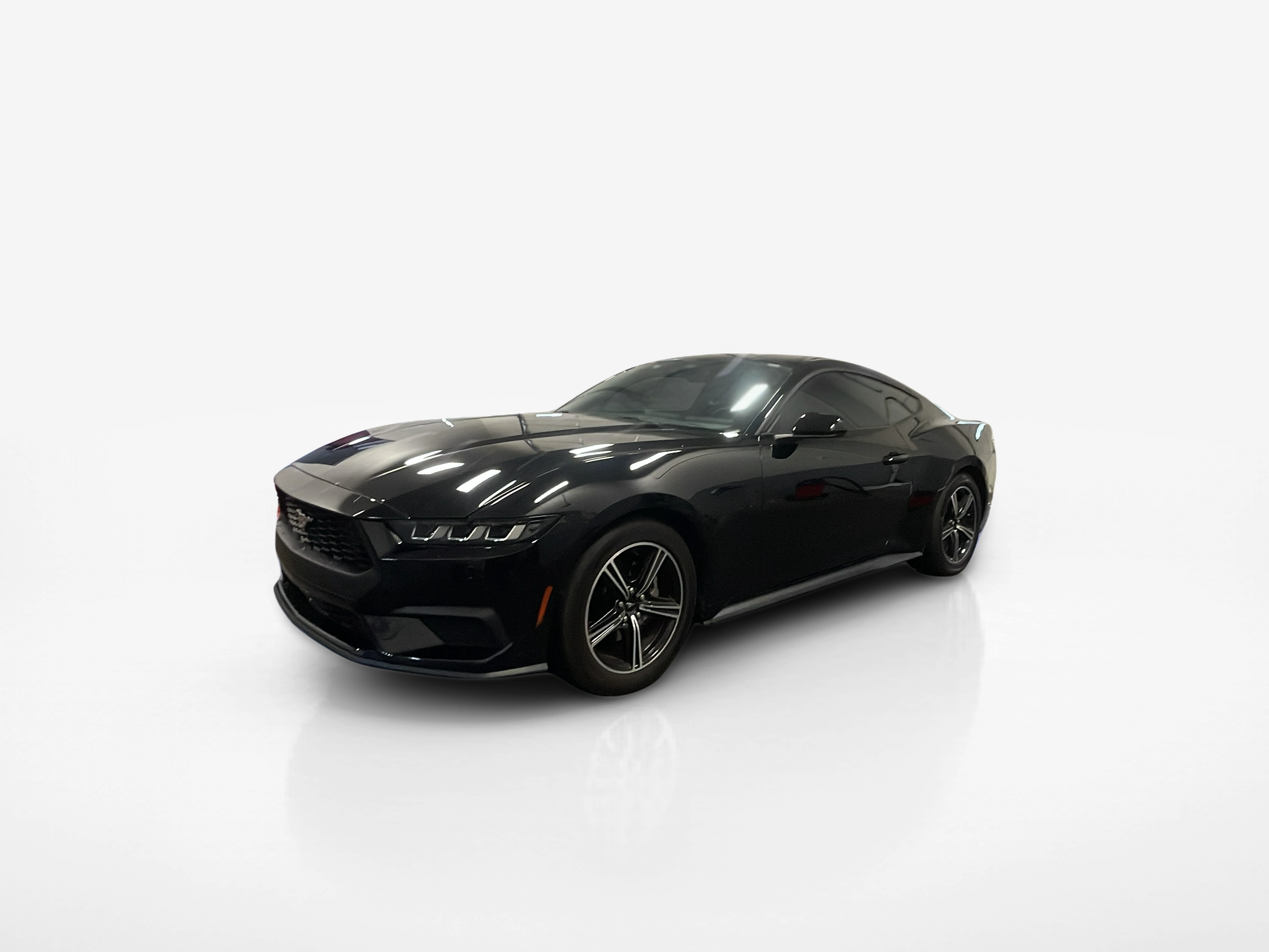 Vehicle exterior front