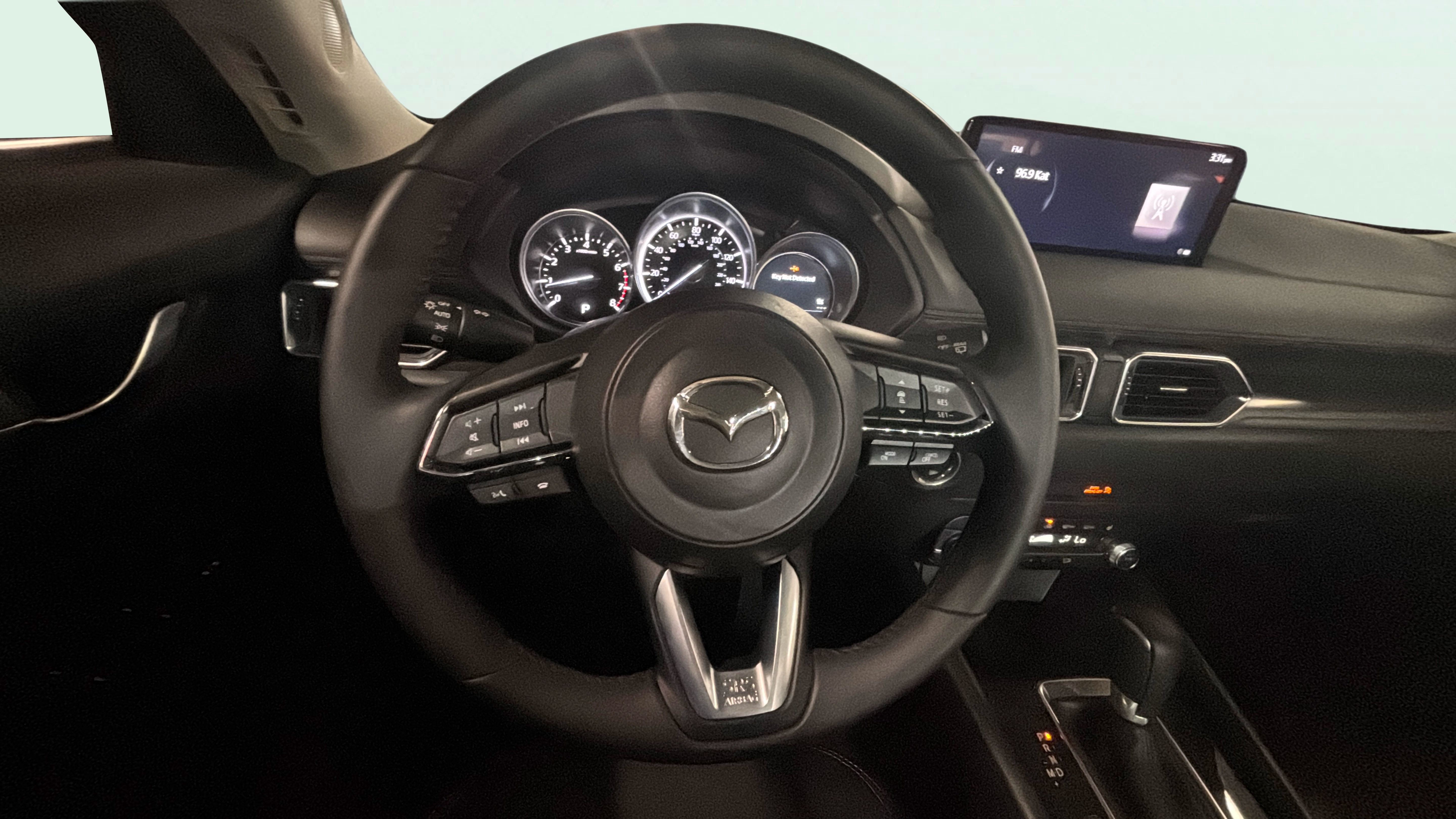 Vehicle interior 1