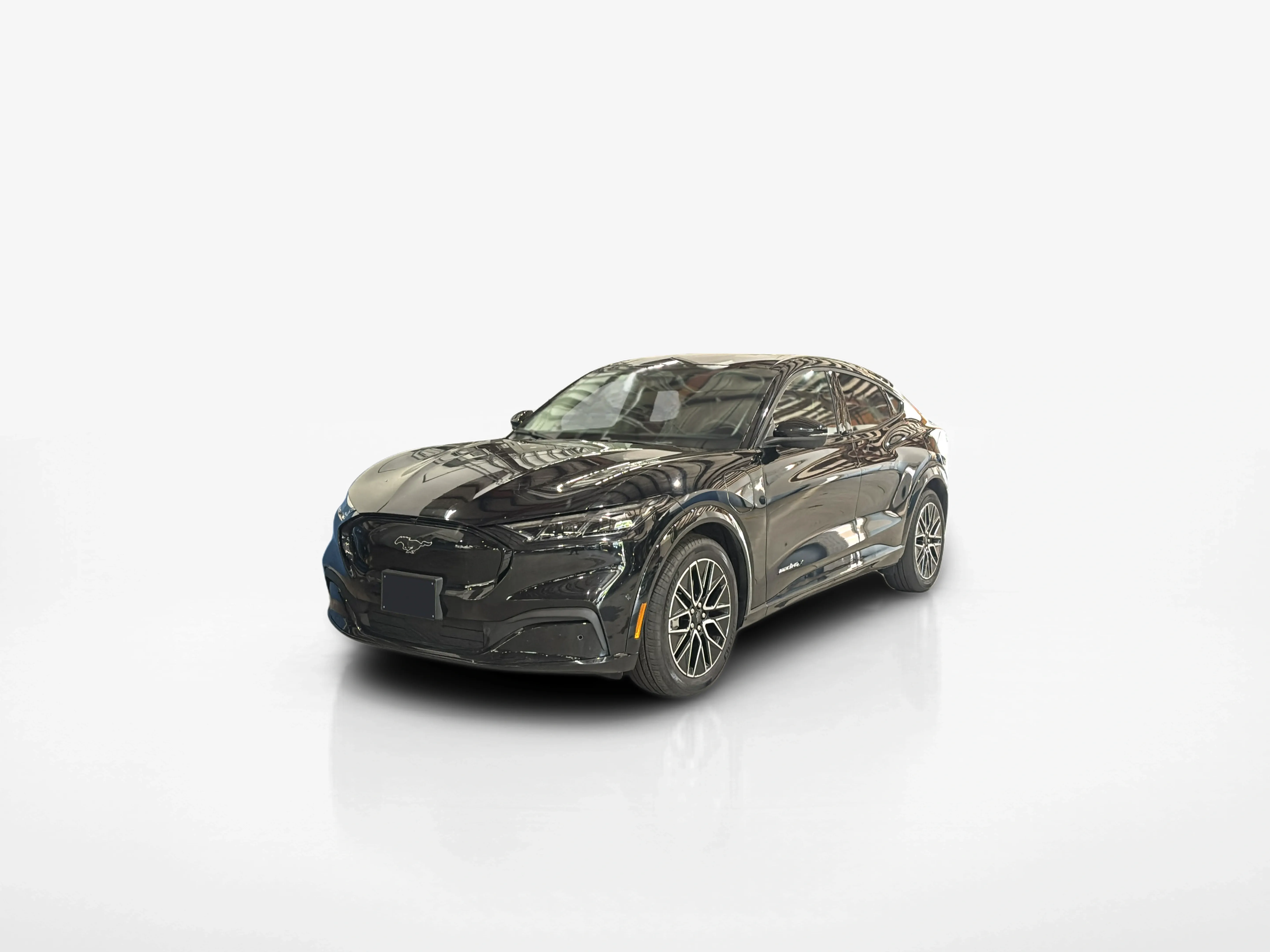 Vehicle exterior front