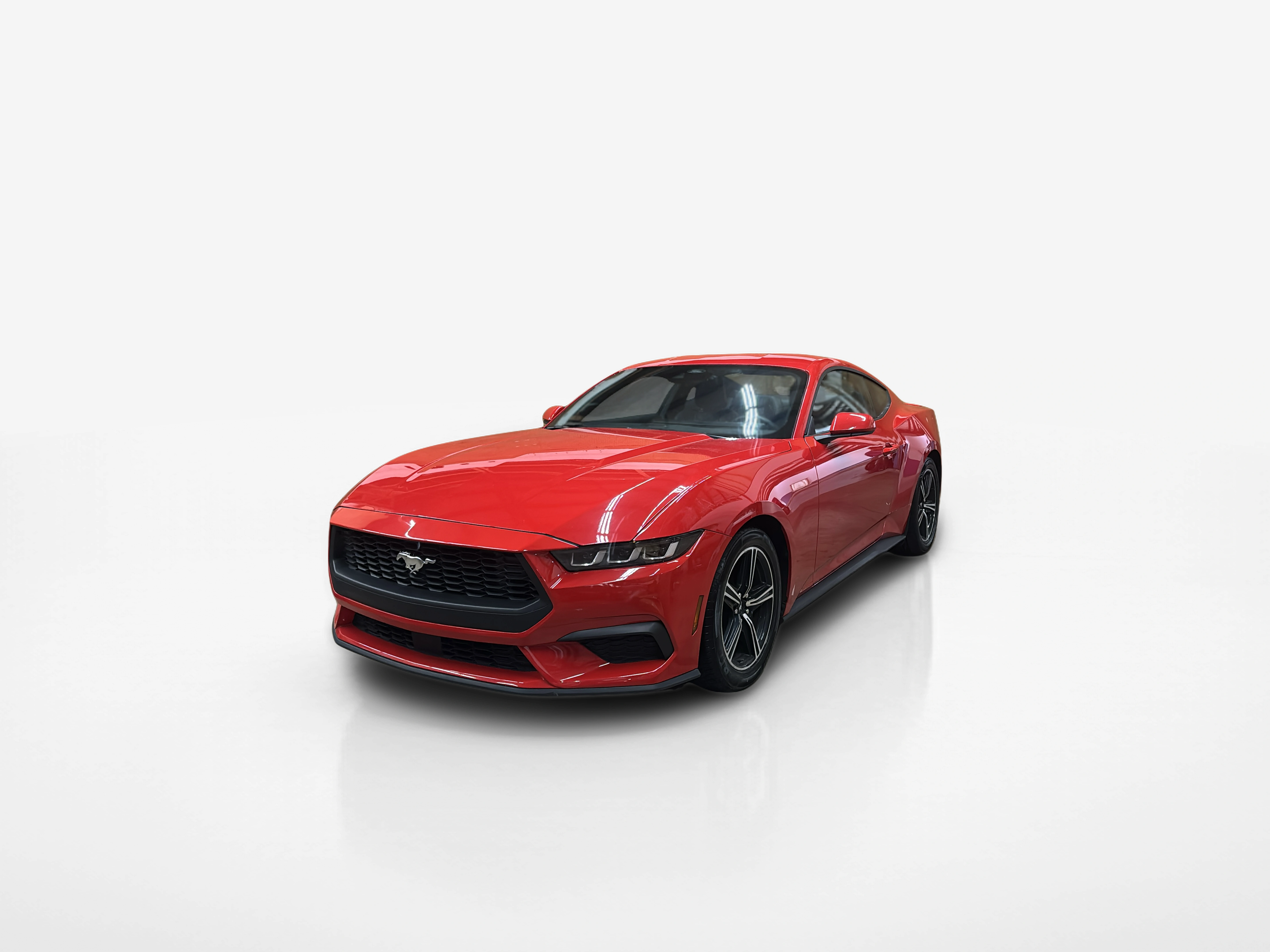 Vehicle exterior front
