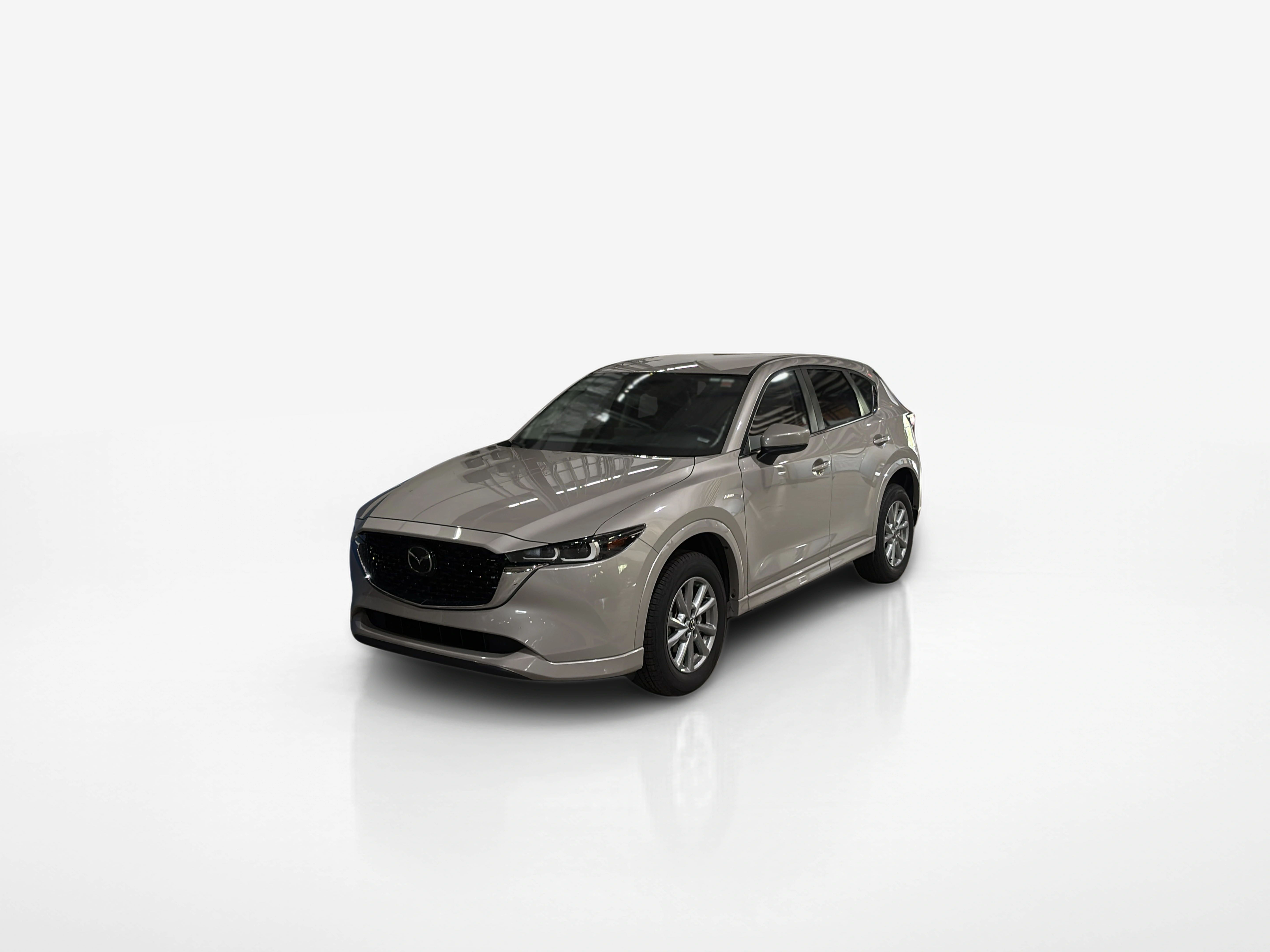 Vehicle exterior front