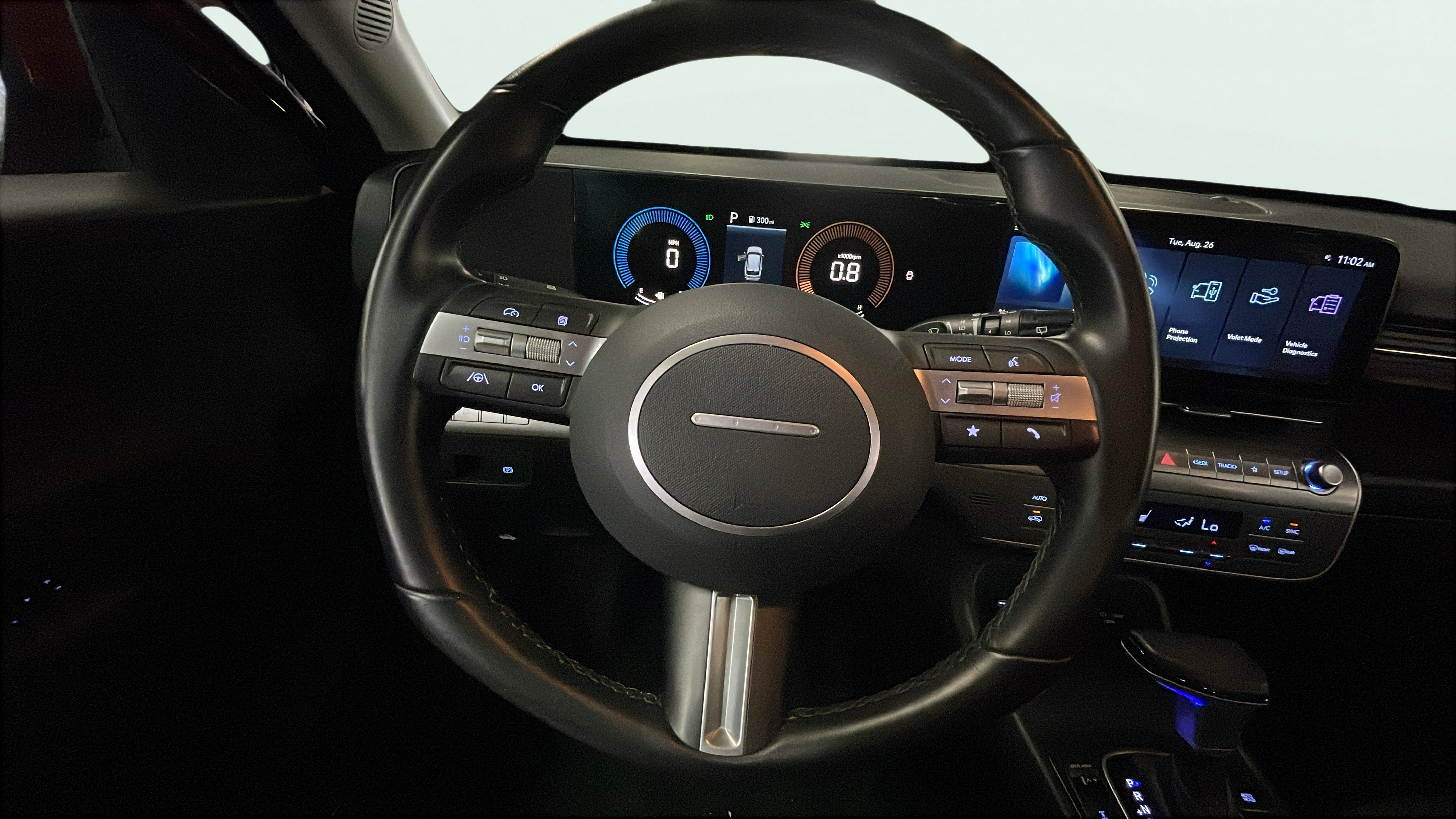 Vehicle interior 1