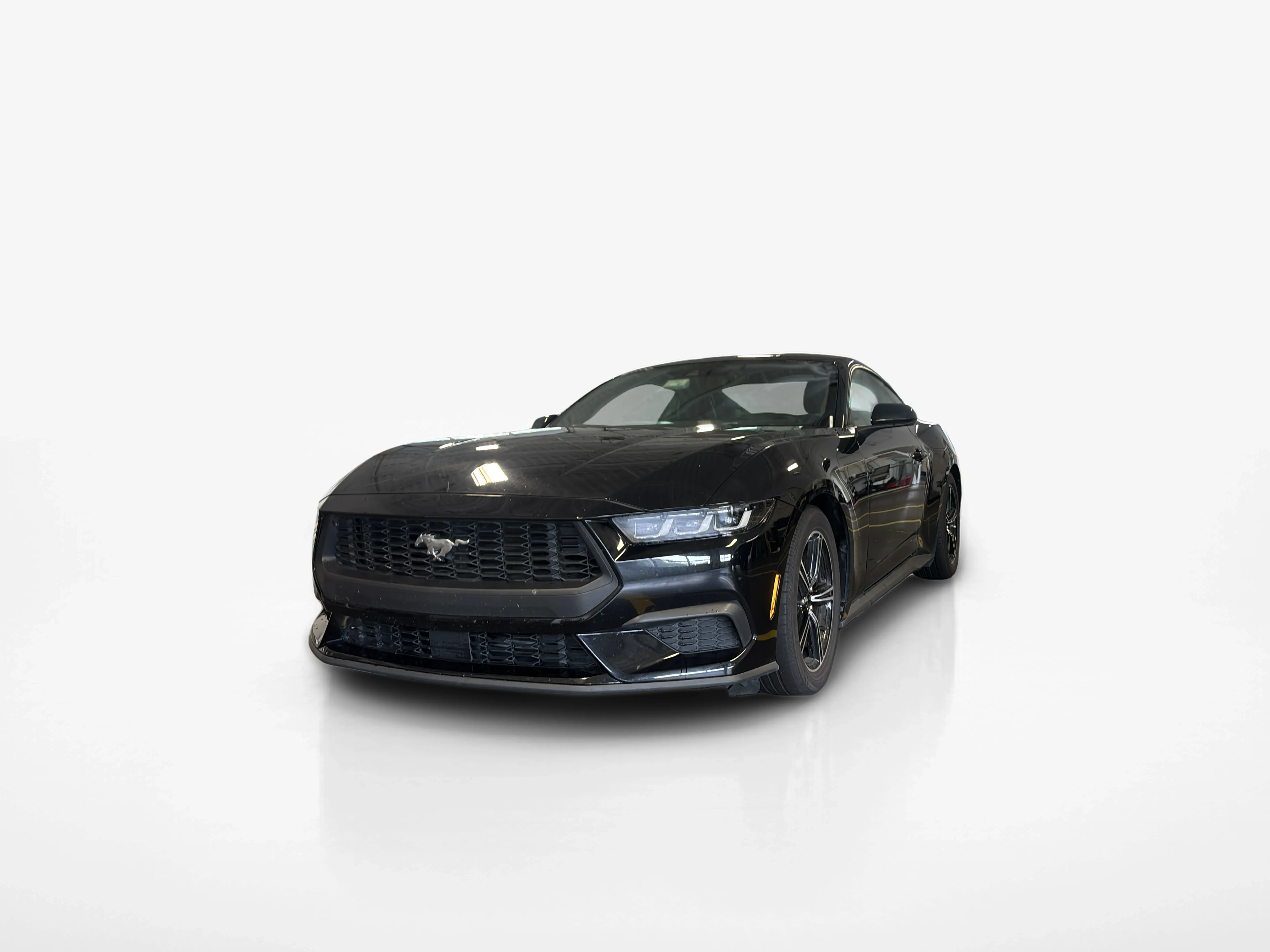 Vehicle exterior front