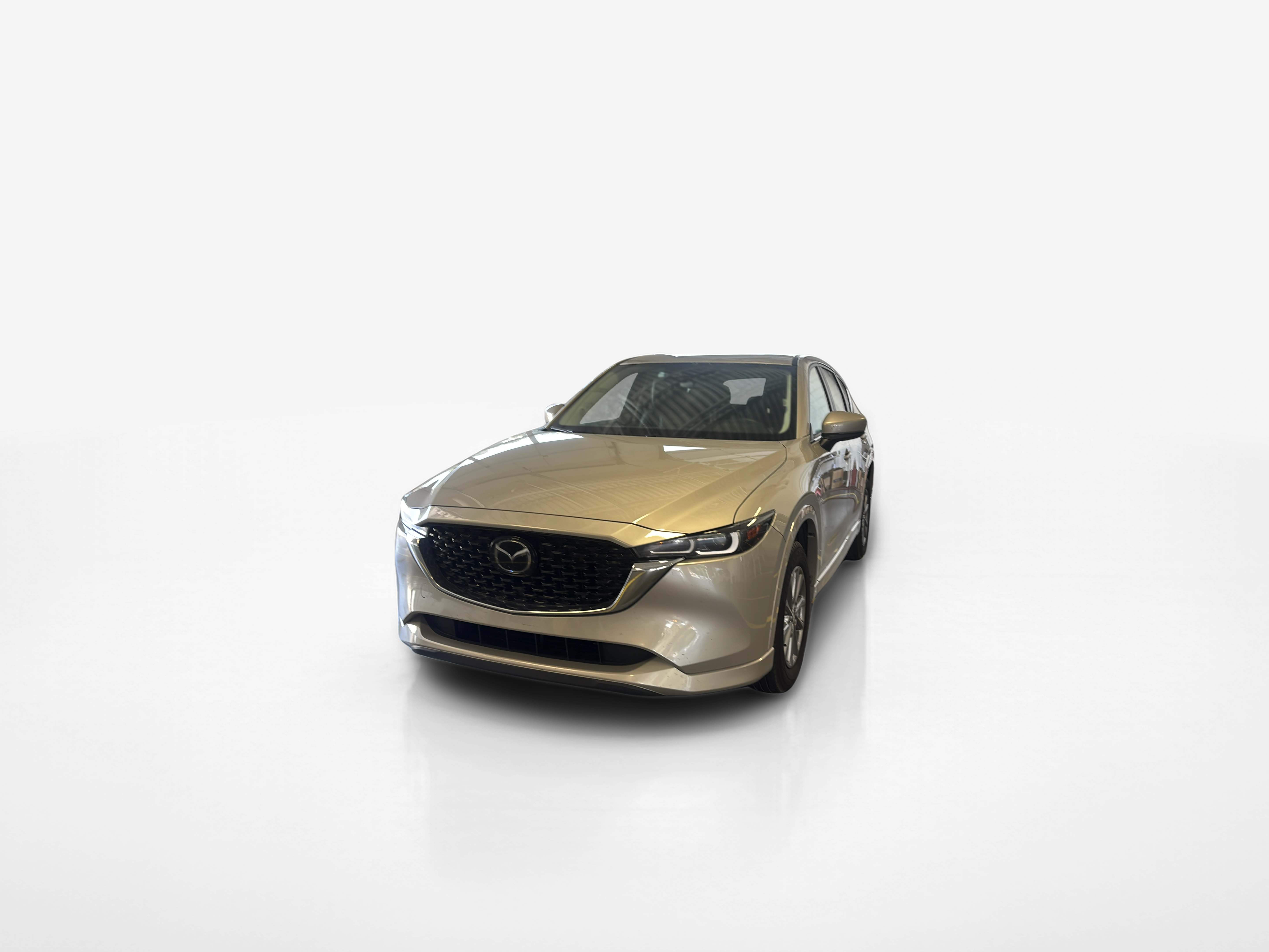 Vehicle exterior front