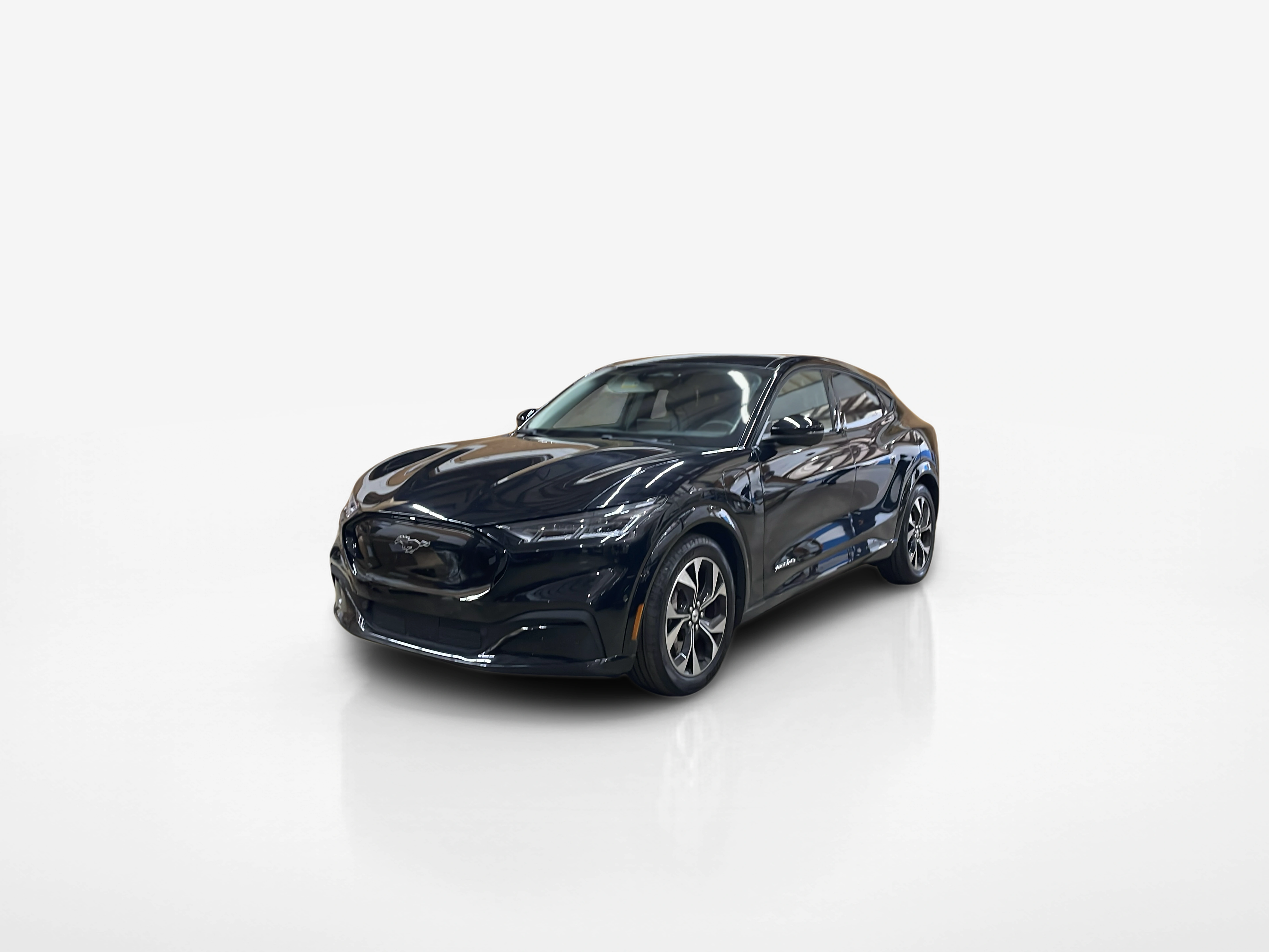 Vehicle exterior front