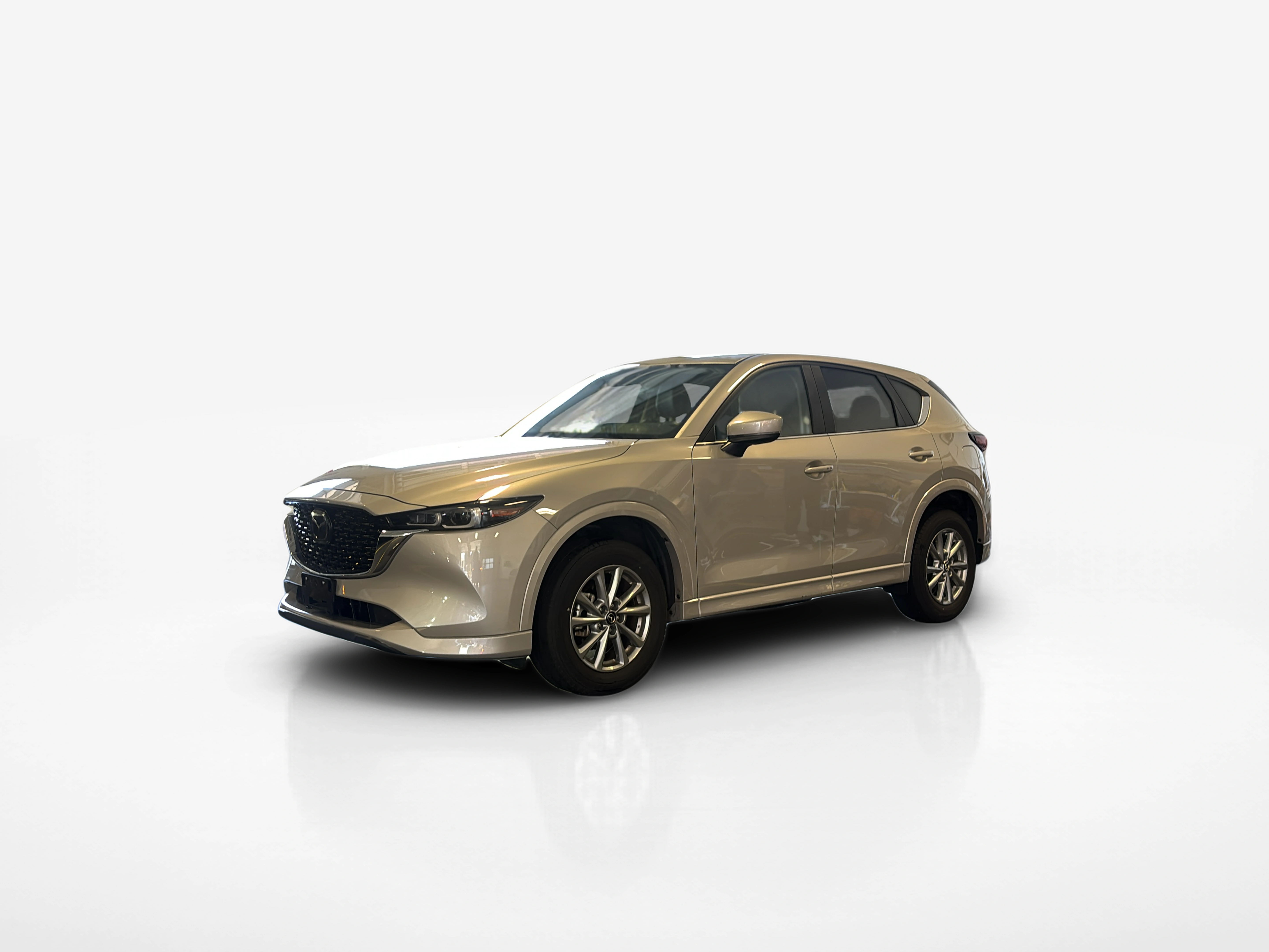 Vehicle exterior front