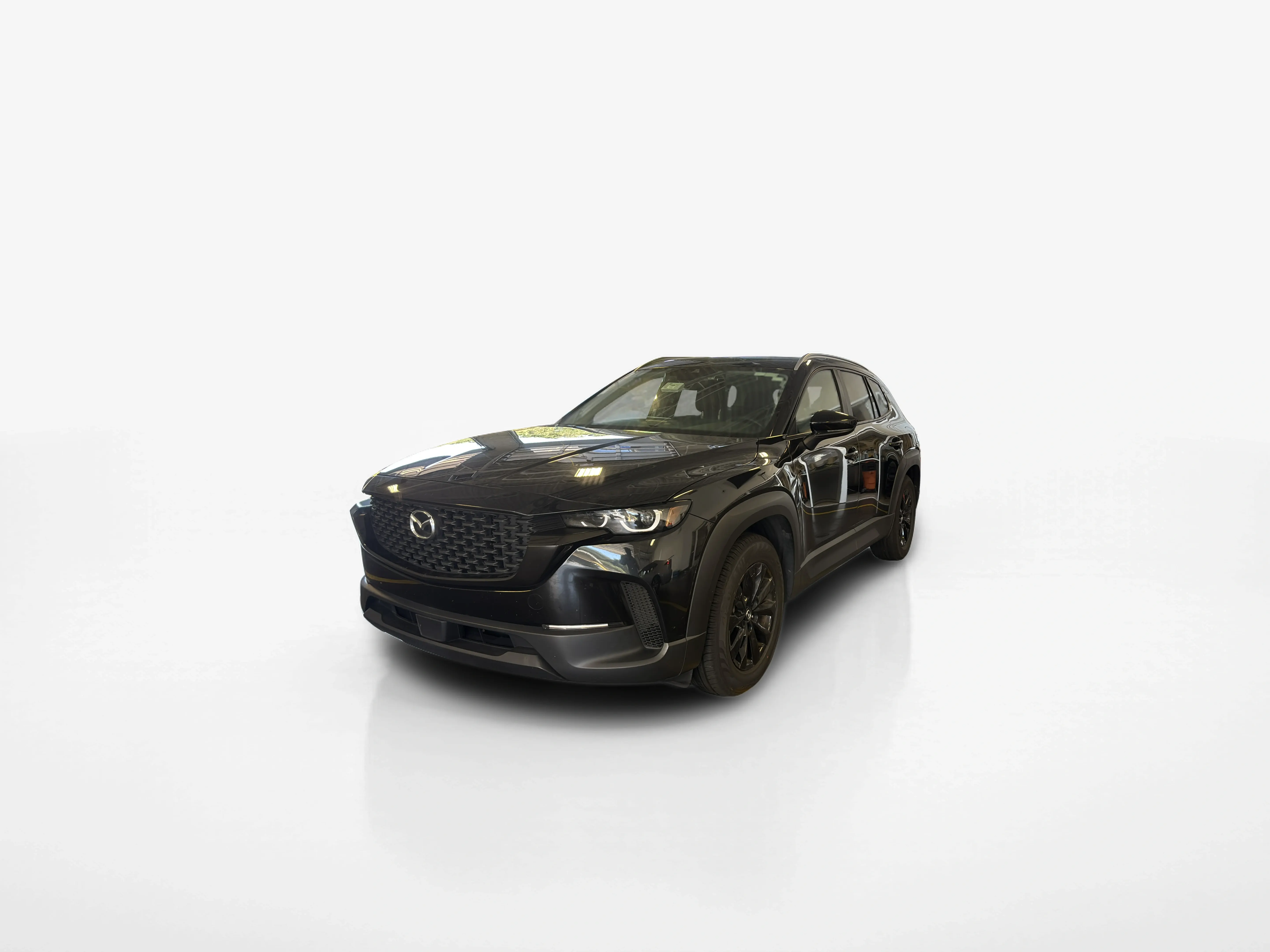 Vehicle exterior front