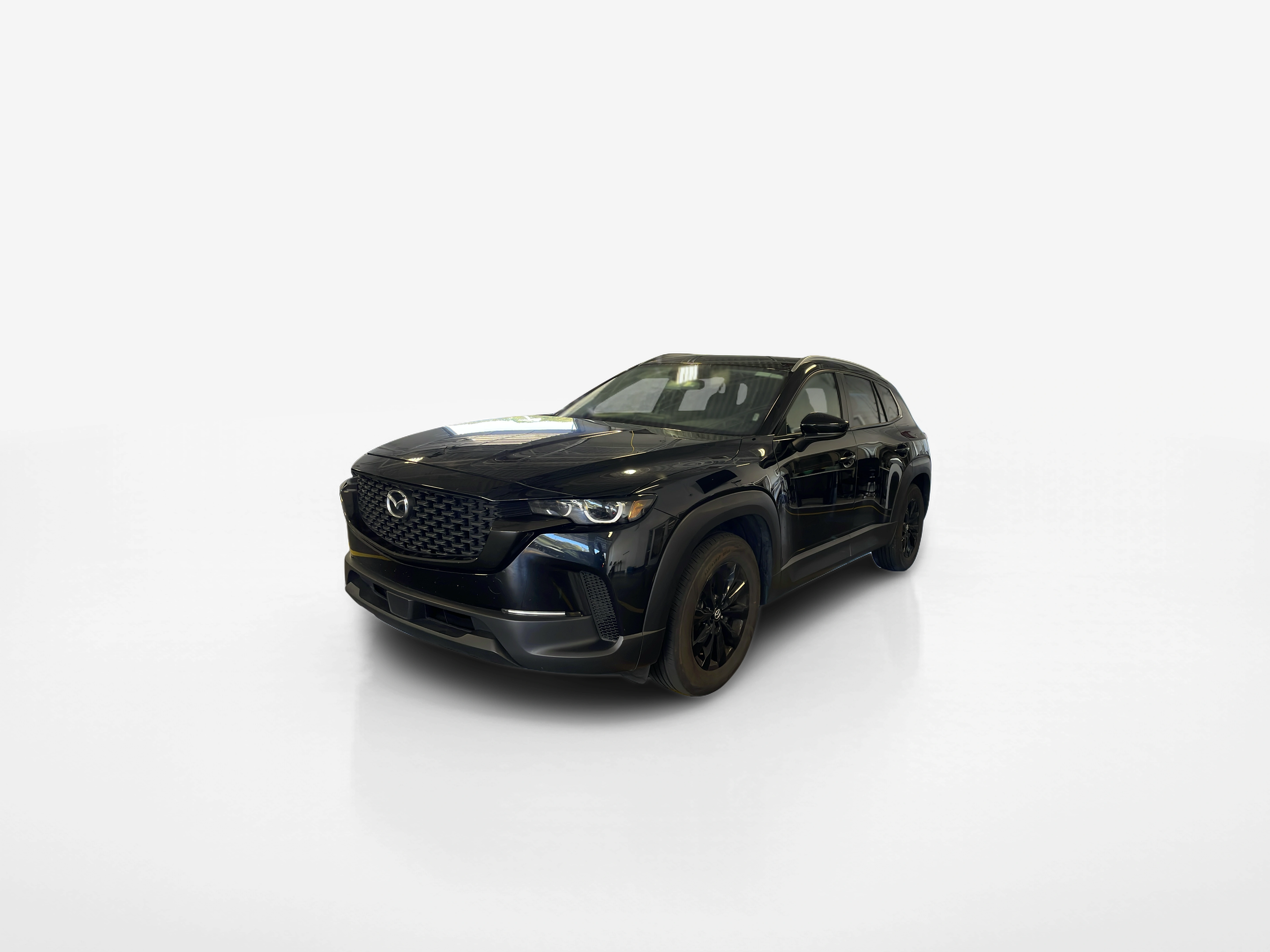 Vehicle exterior front