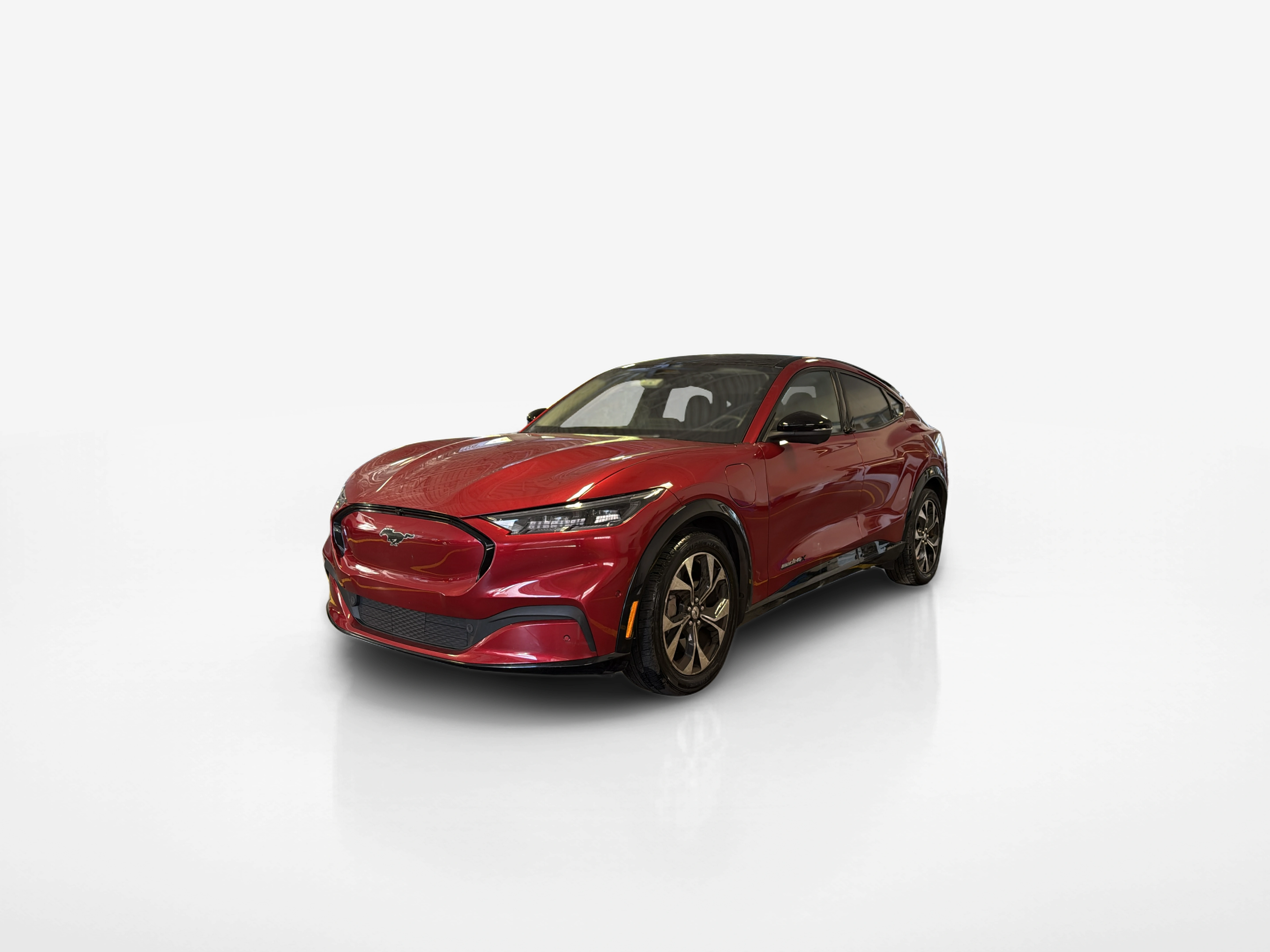 Vehicle exterior front