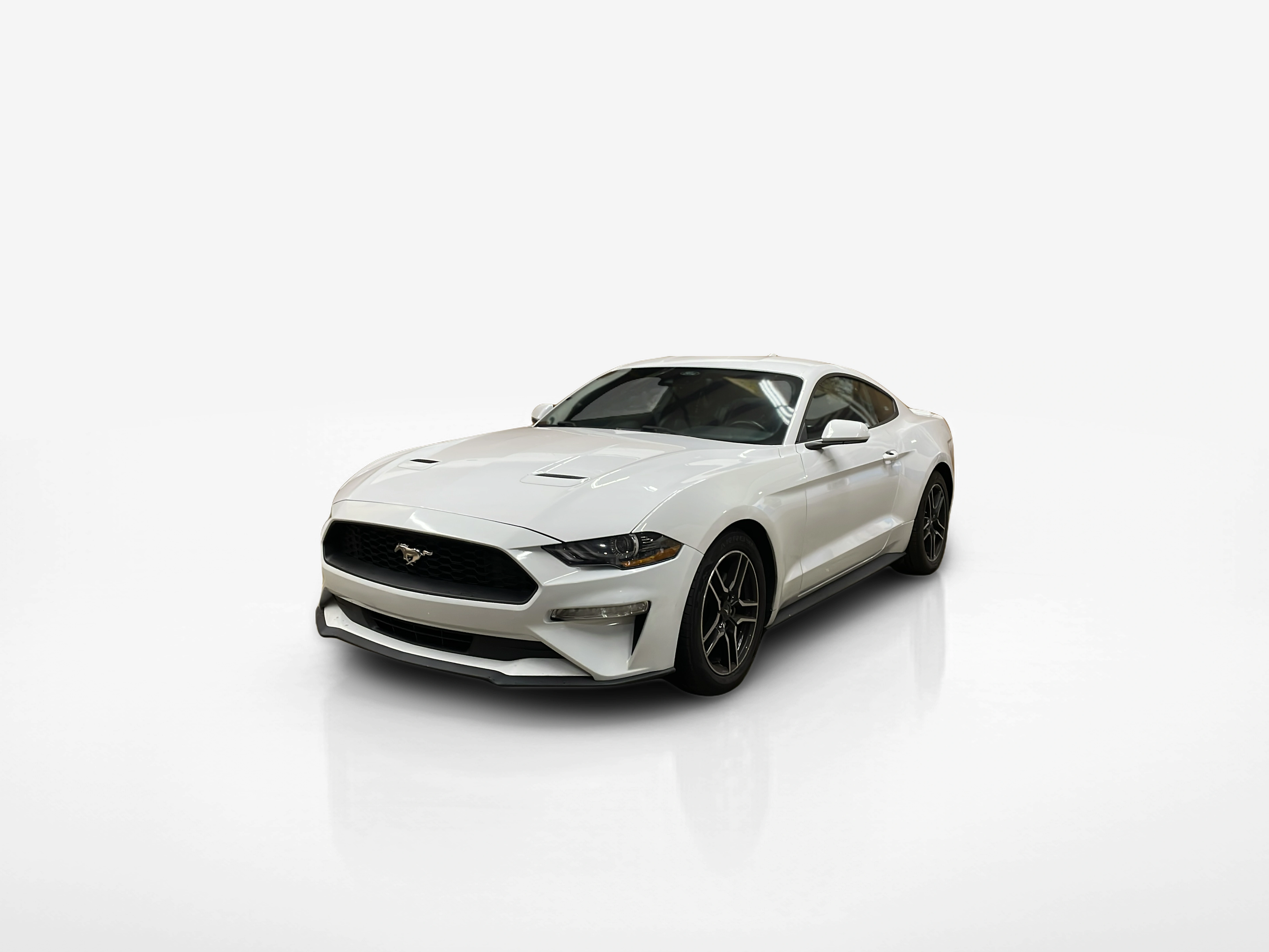 Vehicle exterior front
